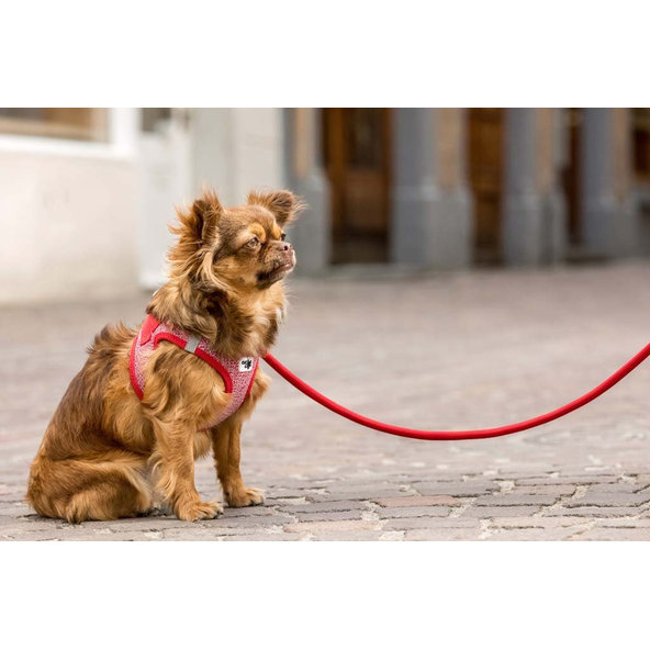 CURLI Postroj pre psov Merino vlna Red 2XS, 2-4 kg