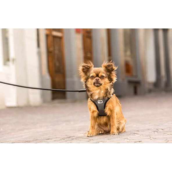 CURLI Postroj pre psov Merino vlna Red 2XS, 2-4 kg