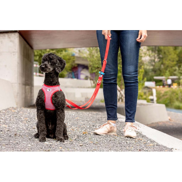 CURLI Postroj pre psov Merino vlna Red L, 8-13 kg
