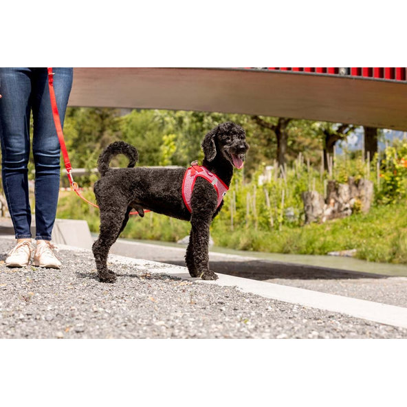 CURLI Postroj pre psov Merino vlna Red L, 8-13 kg