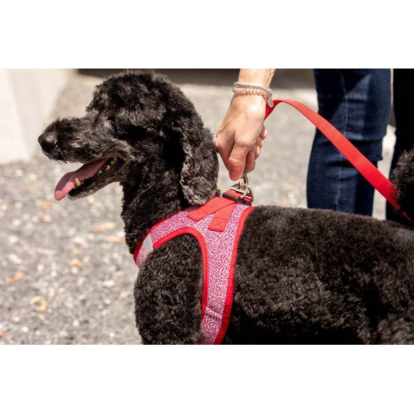 CURLI Postroj pre psov Merino vlna Red L, 8-13 kg