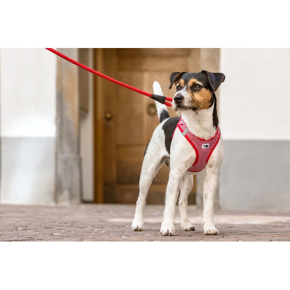 CURLI Postroj pre psov Merino vlna Red M, 6-9 kg