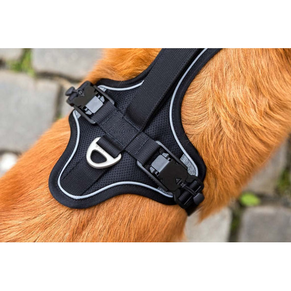 CURLI Postroj pre psov s magnetom Belka Comfort Black L, 25-35 kg