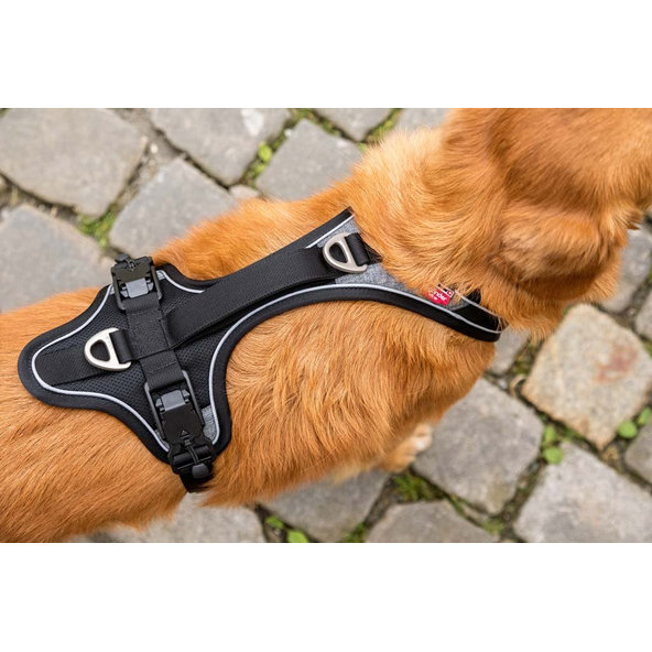 CURLI Postroj pre psov s magnetom Belka Comfort Black M, 20-30 kg