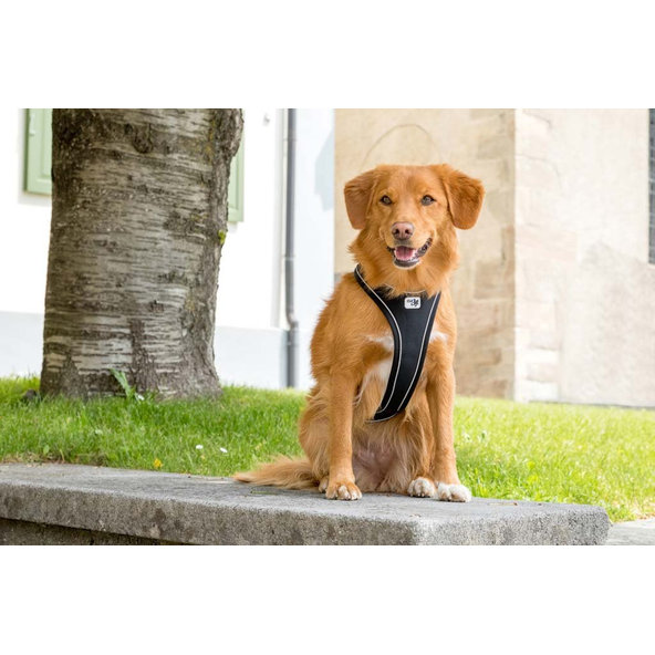 CURLI Postroj pre psov s magnetom Belka Comfort Black M, 20-30 kg