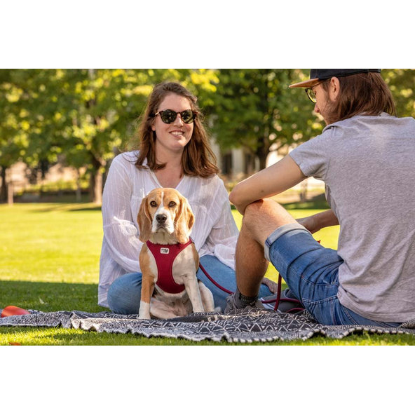 CURLI Postroj pre psov so sponou Air-Mesh Black M, 6-9 kg