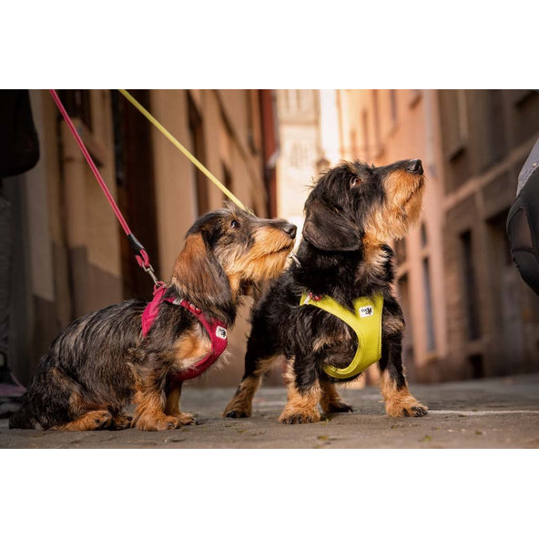 CURLI Postroj pre psov so sponou Air-Mesh Black S, 4-7 kg