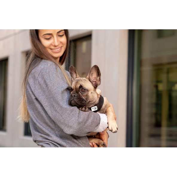 CURLI Postroj pre psov so sponou Air-Mesh Black XL, 12-18 kg