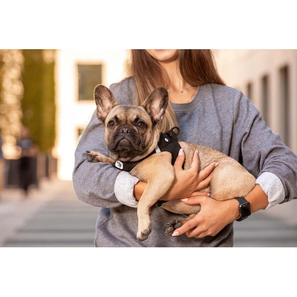 CURLI Postroj pre psov so sponou Air-Mesh Black XL, 12-18 kg