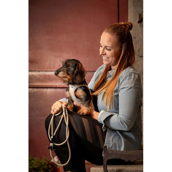 CURLI Postroj pre psov so sponou Air-Mesh Blue S, 4-7 kg