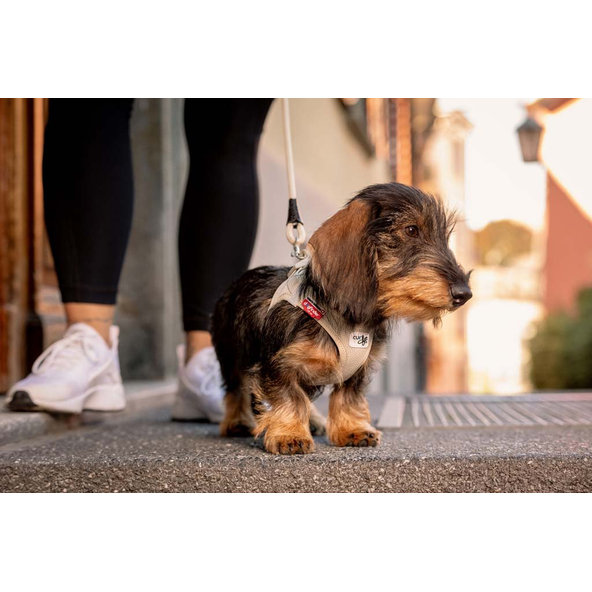 CURLI Postroj pre psov so sponou Air-Mesh Blue S, 4-7 kg