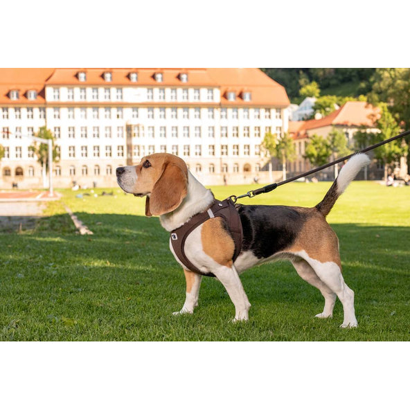 CURLI Postroj pre psov so sponou Air-Mesh Light Tan M, 6-9 kg