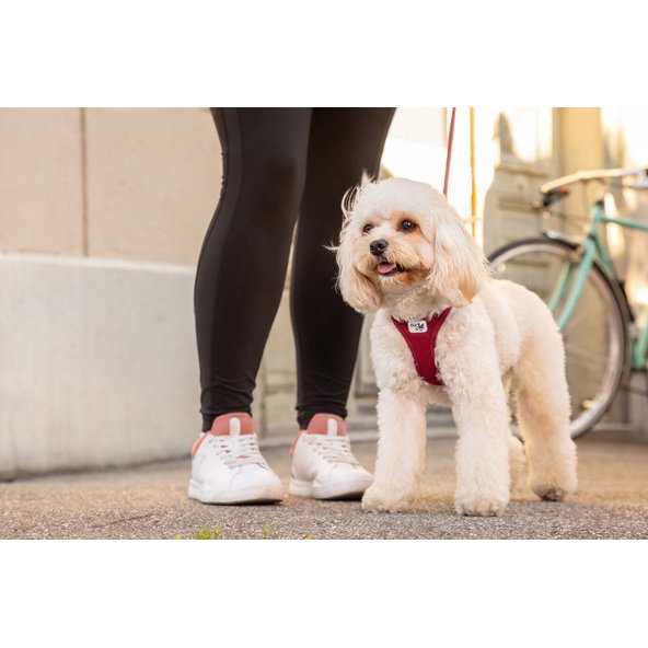 CURLI Postroj pre psov so sponou Air-Mesh Moss L, 8-10 kg