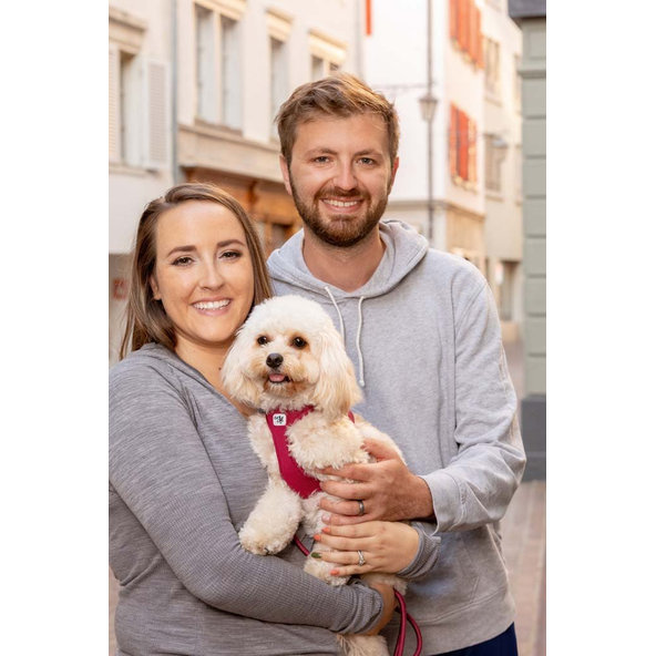 CURLI Postroj pre psov so sponou Air-Mesh Moss L, 8-10 kg