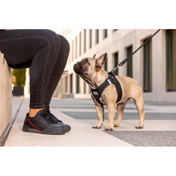 CURLI Postroj pre psov so sponou Air-Mesh Moss XL, 12-18 kg