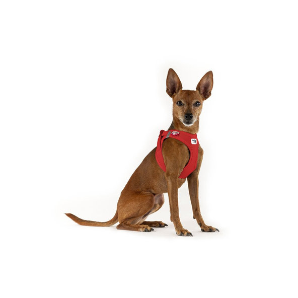 CURLI Postroj pre psov so sponou Air-Mesh Red 2XS,  2-4 kg