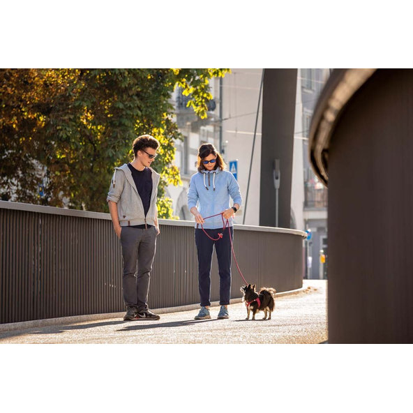 CURLI Postroj pre psov so sponou Air-Mesh Red 3XS, 1,5-3 kg