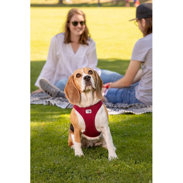 CURLI Postroj pre psov so sponou Air-Mesh Red M, 6-9 kg