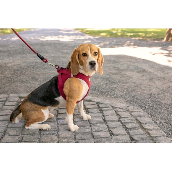 CURLI Postroj pre psov so sponou Air-Mesh Red M, 6-9 kg