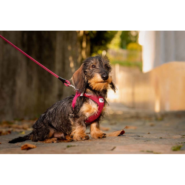 CURLI Postroj pre psov so sponou Air-Mesh Red S, 4-7 kg