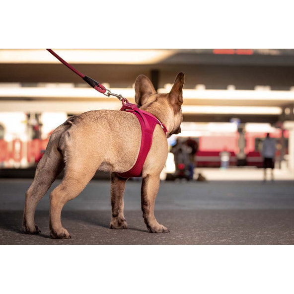 CURLI Postroj pre psov so sponou Air-Mesh Red XL, 12-18 kg