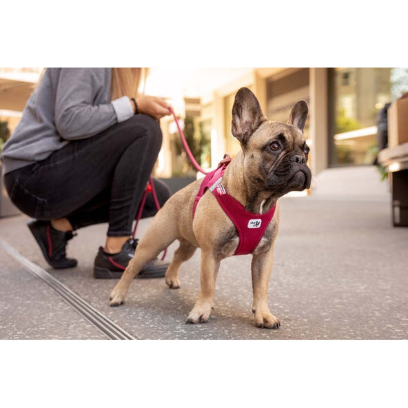 CURLI Postroj pre psov so sponou Air-Mesh Red XL, 12-18 kg