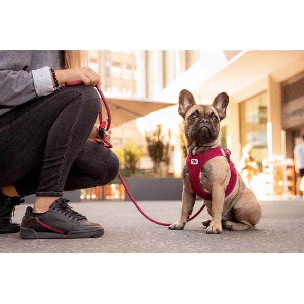 CURLI Postroj pre psov so sponou Air-Mesh Red XL, 12-18 kg