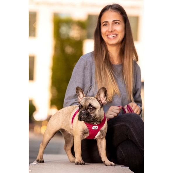 CURLI Postroj pre psov so sponou Air-Mesh Red XS, 3-5 kg