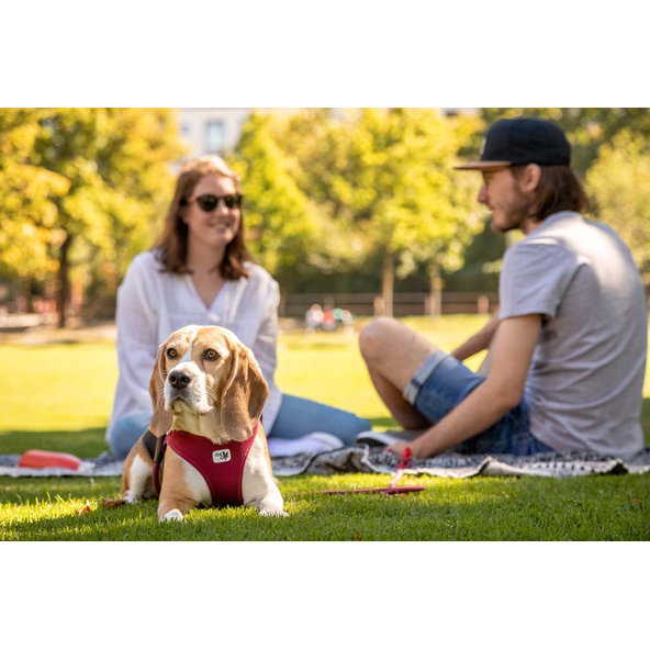 CURLI Postroj pre psov so sponou Air-Mesh Ruby M, 6-9 kg