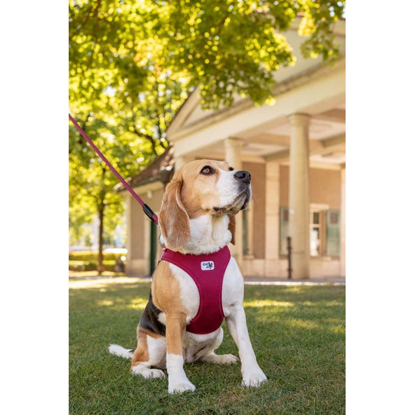 CURLI Postroj pre psov so sponou Air-Mesh Ruby M, 6-9 kg