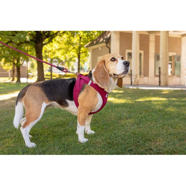 CURLI Postroj pre psov so sponou Air-Mesh Ruby M, 6-9 kg