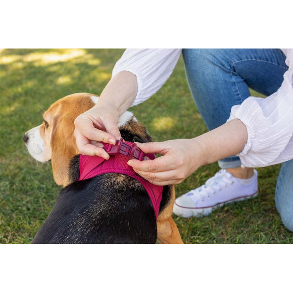 CURLI Postroj pre psov so sponou Air-Mesh Ruby M, 6-9 kg