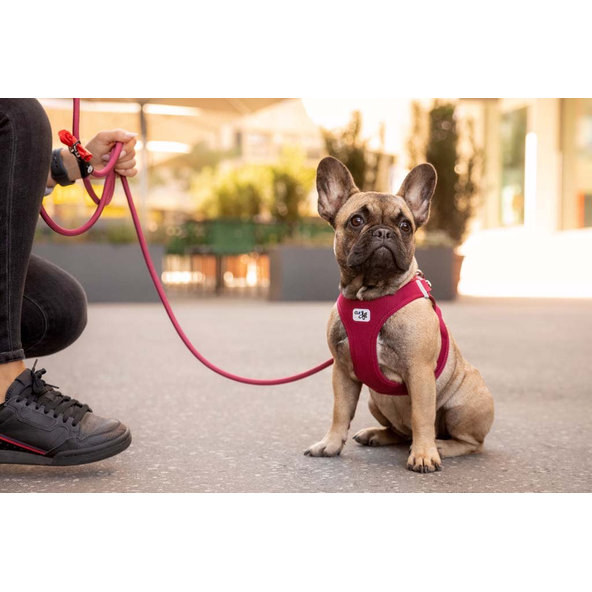 CURLI Postroj pre psov so sponou Air-Mesh Ruby XL, 12-18 kg