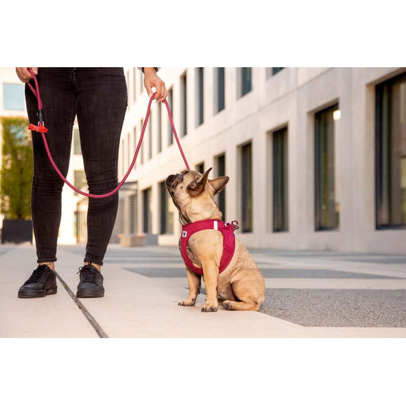 CURLI Postroj pre psov so sponou Air-Mesh Ruby XL, 12-18 kg