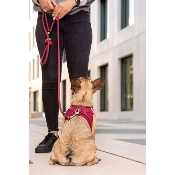 CURLI Postroj pre psov so sponou Air-Mesh Ruby XL, 12-18 kg