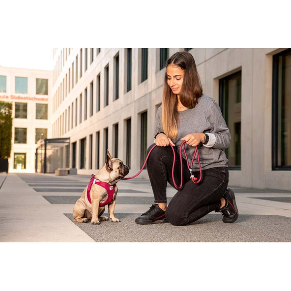 CURLI Postroj pre psov so sponou Air-Mesh Ruby XL, 12-18 kg