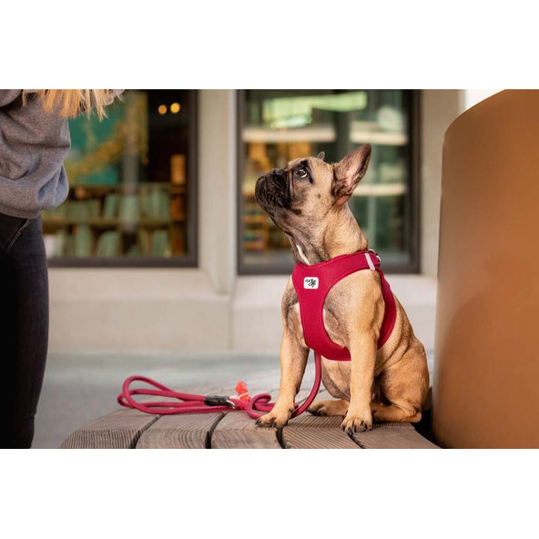 CURLI Postroj pre psov so sponou Air-Mesh Ruby XS, 3-5 kg