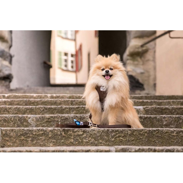 CURLI Postroj pre psov Softshell Black 2XS, 2-4 kg