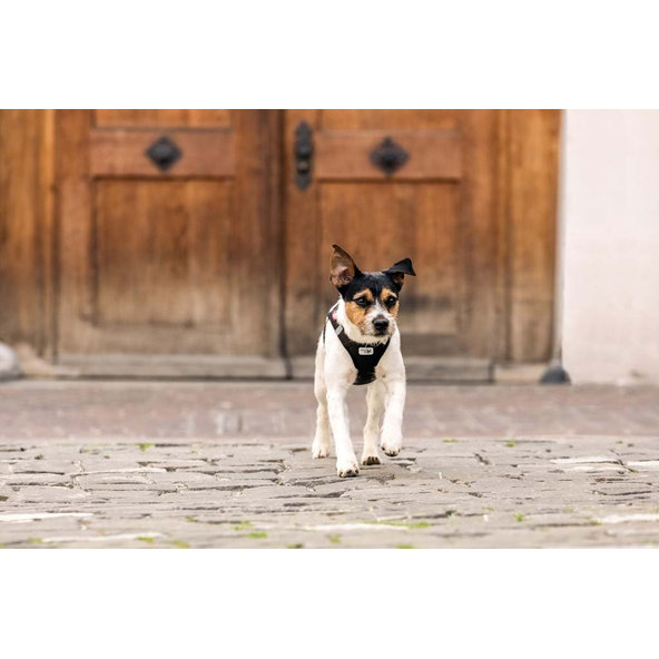 CURLI Postroj pre psov Softshell Black M, 6-9 kg