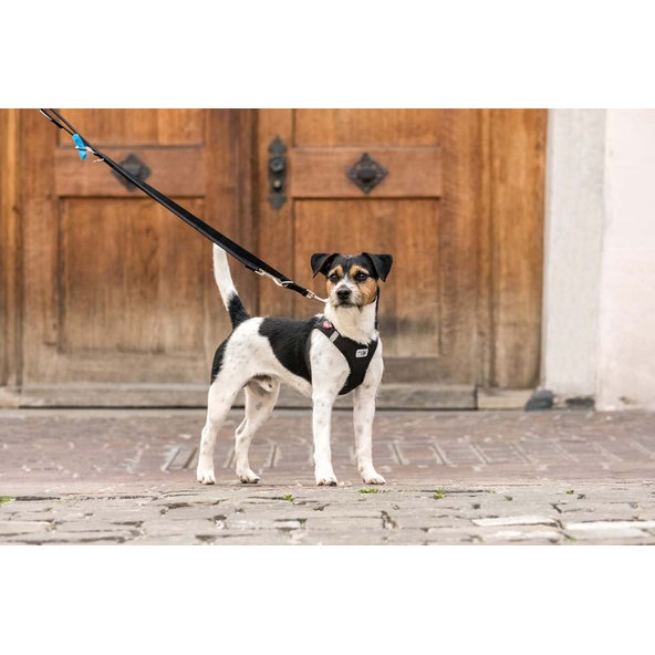 CURLI Postroj pre psov Softshell Black XL, 12-18 kg