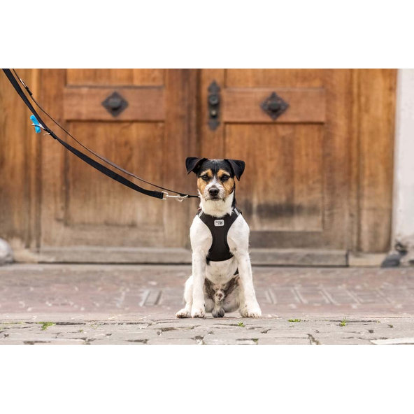 CURLI Postroj pre psov Softshell Black XL, 12-18 kg