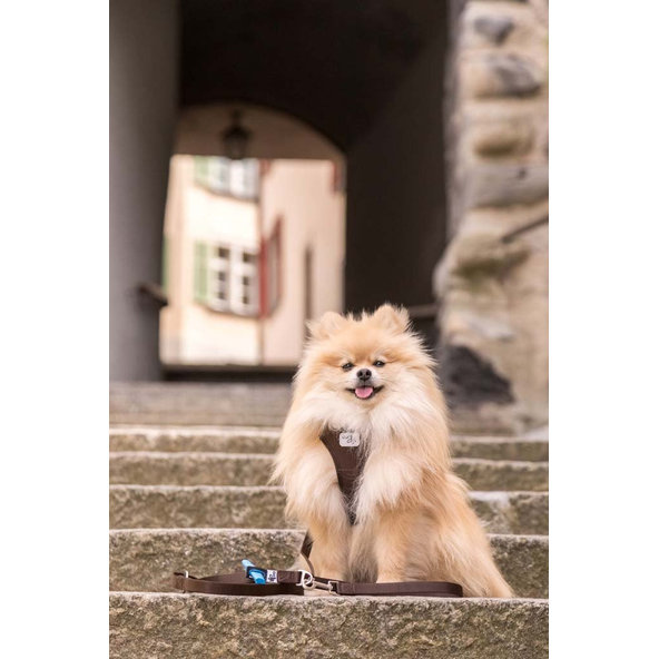 CURLI Postroj pre psov Softshell Red 2XS, 2-4 kg