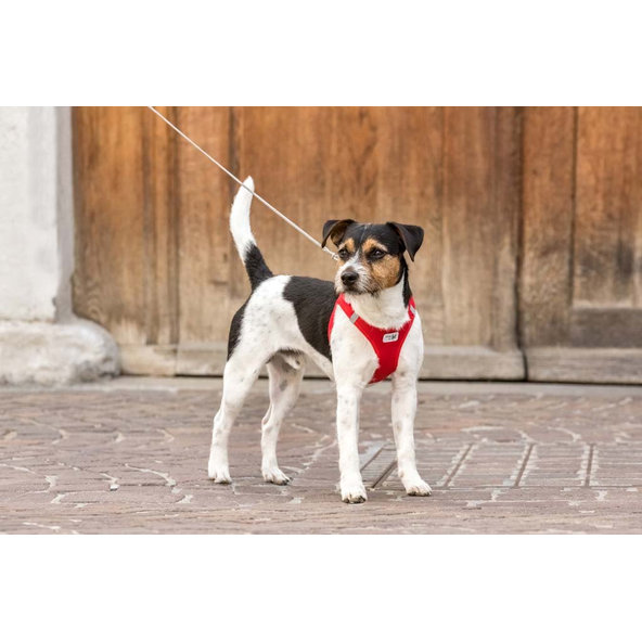 CURLI Postroj pre psov Softshell Red 2XS, 2-4 kg