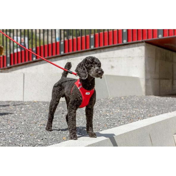 CURLI Postroj pre psov Softshell Red XL, 12-18 kg