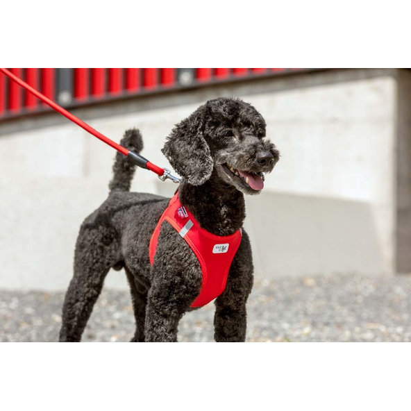 CURLI Postroj pre psov Softshell Red XL, 12-18 kg