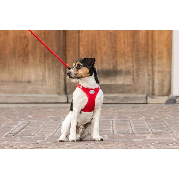 CURLI Postroj pre psov Softshell Red XL, 12-18 kg