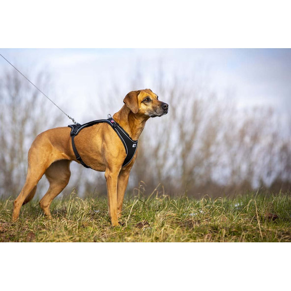 CURLI Ultra silné vreckové vodítko pre psov M 160 cm