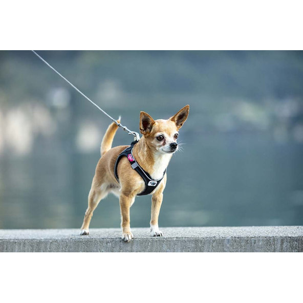 CURLI Ultra silné vreckové vodítko pre psov M 160 cm