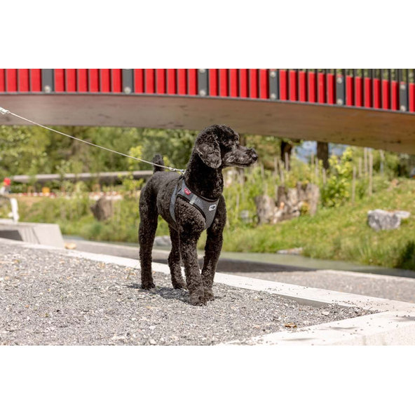 CURLI Ultra silné vreckové vodítko pre psov M 160 cm