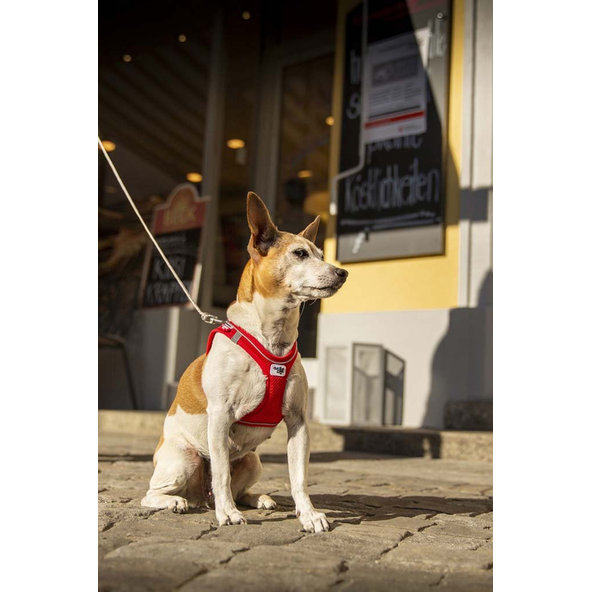 CURLI Ultra silné vreckové vodítko pre psov S 110 cm